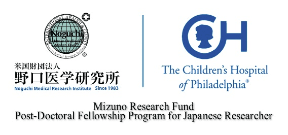 Mizuno Research Fund Post-Doctoral Fellowship Program for Japanese Researcher